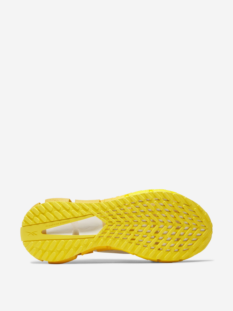 Кроссовки мужские Reebok Floatzig 1