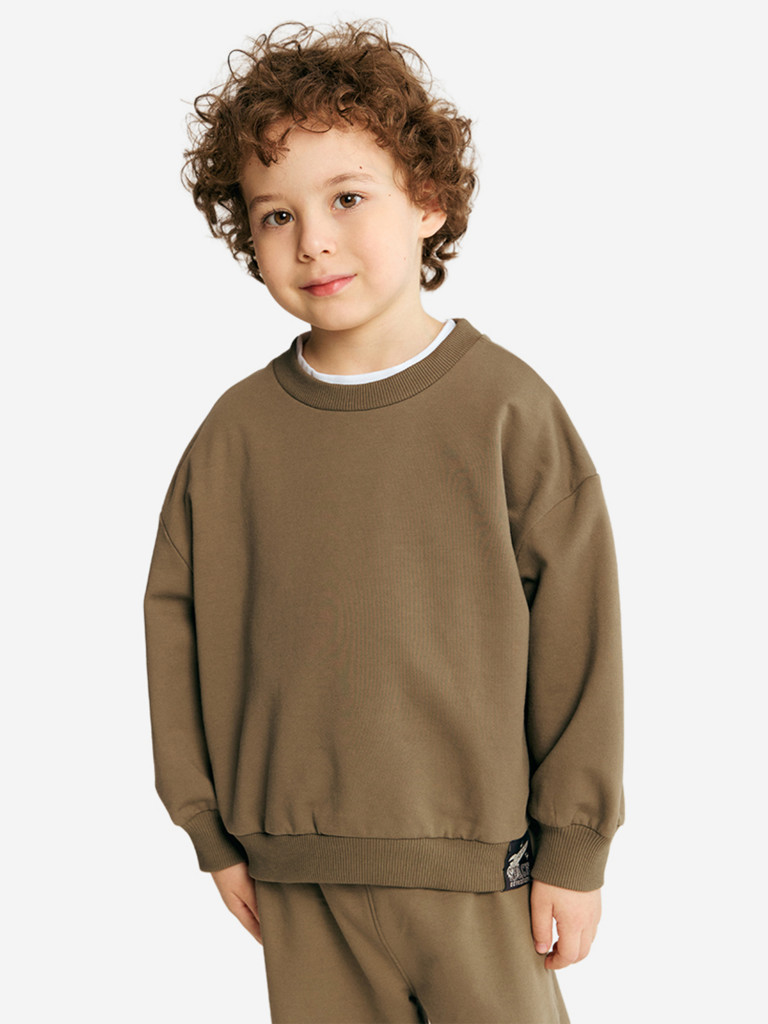 Свитшот для мальчиков Artie