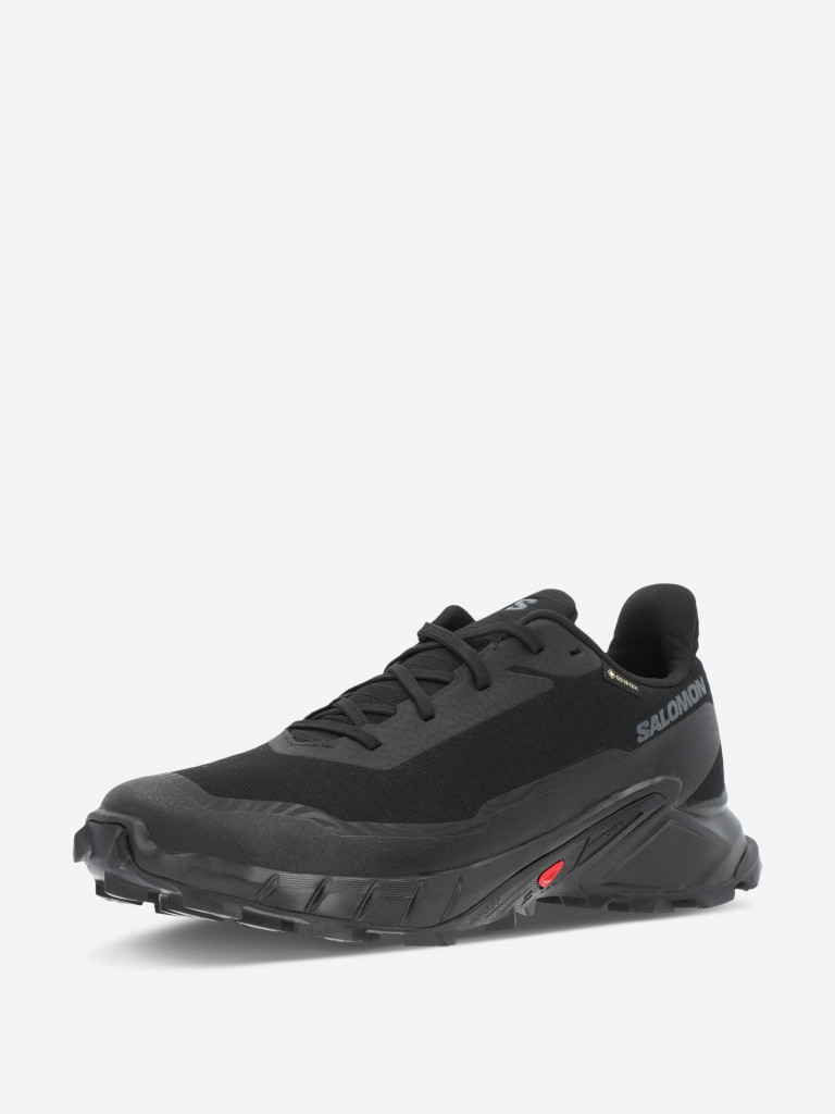 Кроссовки женские Salomon Alphacross 5 GTX