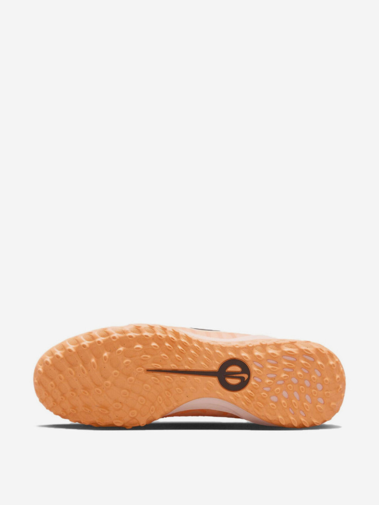 Сороконожки Nike Legend 10 Academy TF