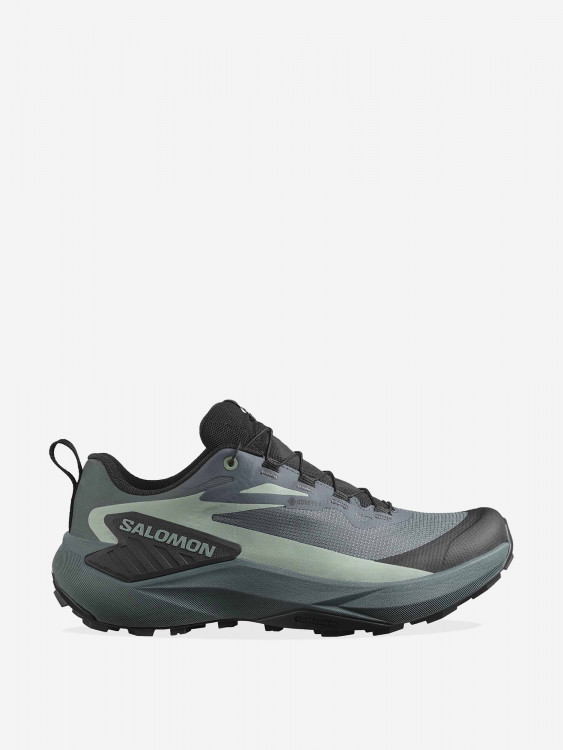 Кроссовки Salomon Genesis GTX W