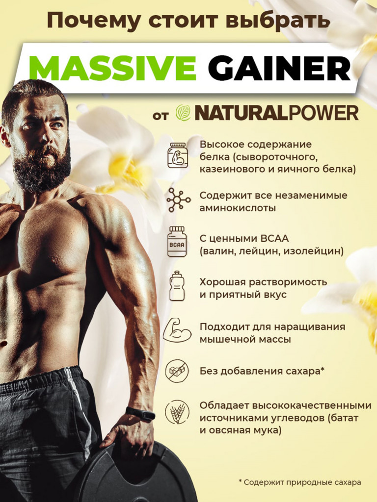 Гейнер Massive Gainer Natural Power 2500г Ваниль, Австрия