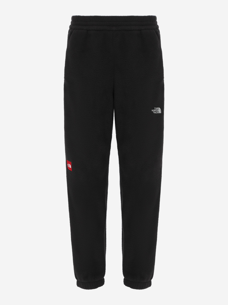 Брюки флисовые мужские The North Face Fleeski
