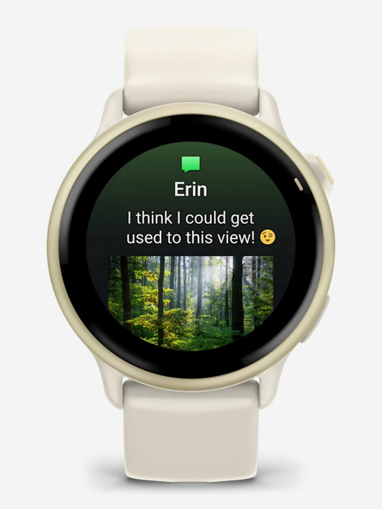 Спортивные часы GARMIN Vivoactive 6