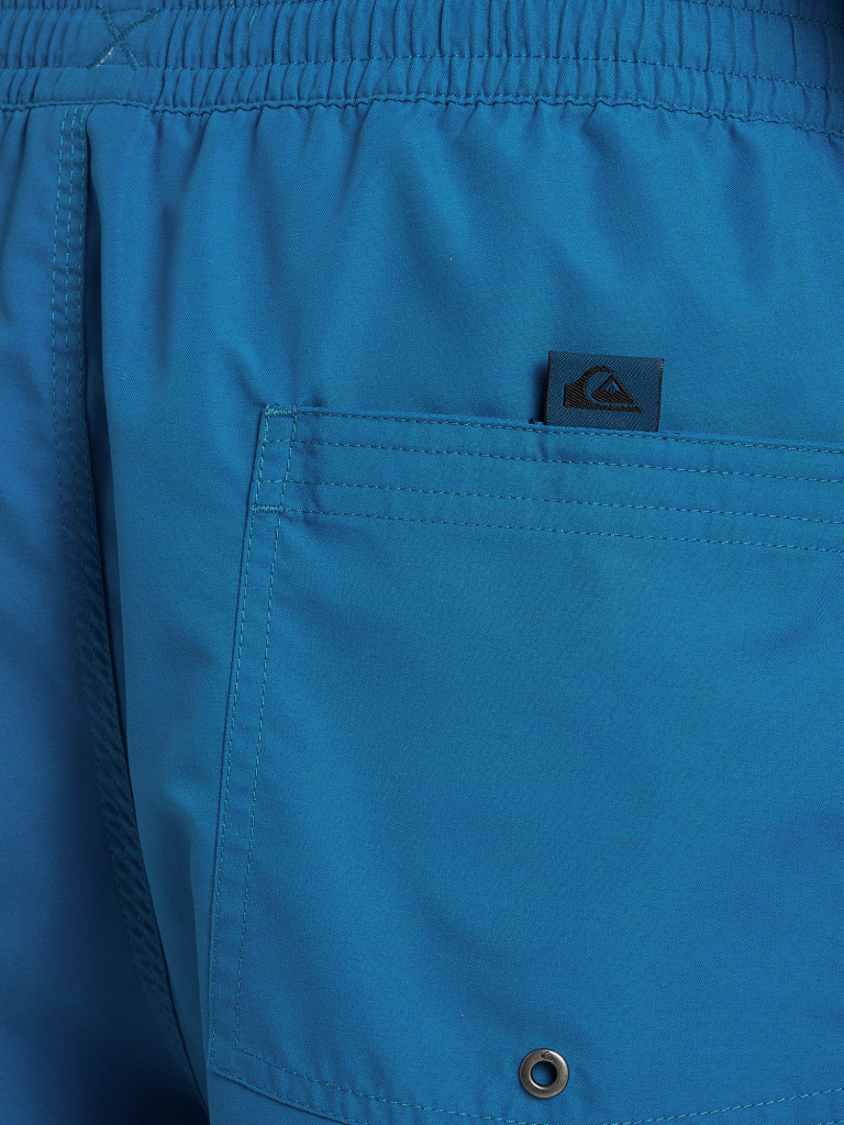 Шорты пляжные мужские Quiksilver Everyday Vert Volley