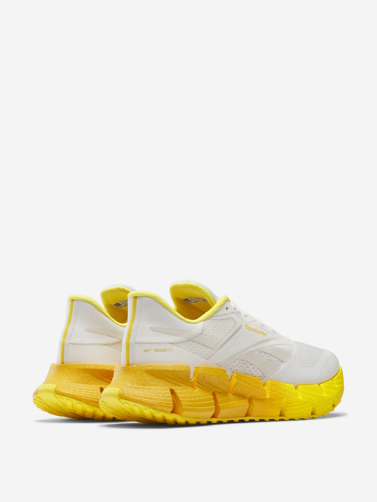 Кроссовки мужские Reebok Floatzig 1