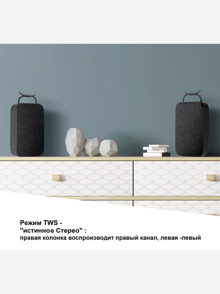 Стильная мощная блютус колонка Technisat Bluspeaker TWS XL, 0000/9119, Германия