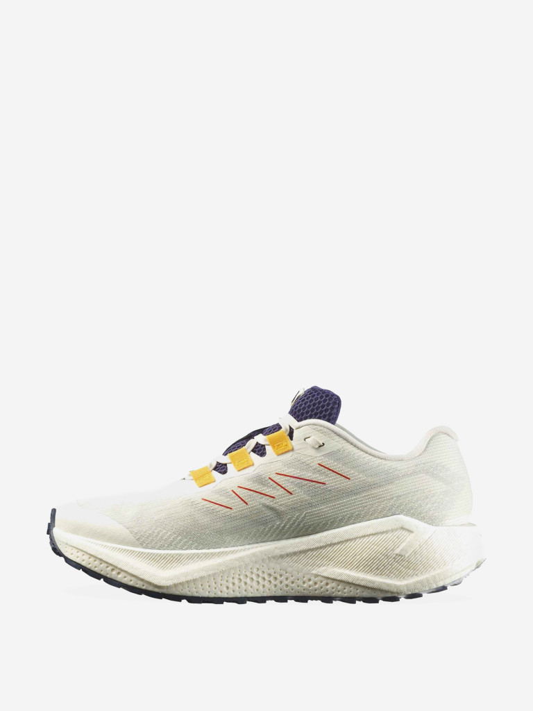 Кроссовки беговые Salomon Aero Blaze 3 GRVL GTX