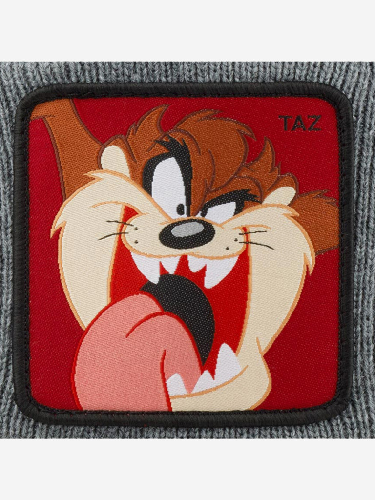 Шапка с отворотом CAPSLAB CL/LOO5/1/BON/TAZ2 Looney Tunes Taz