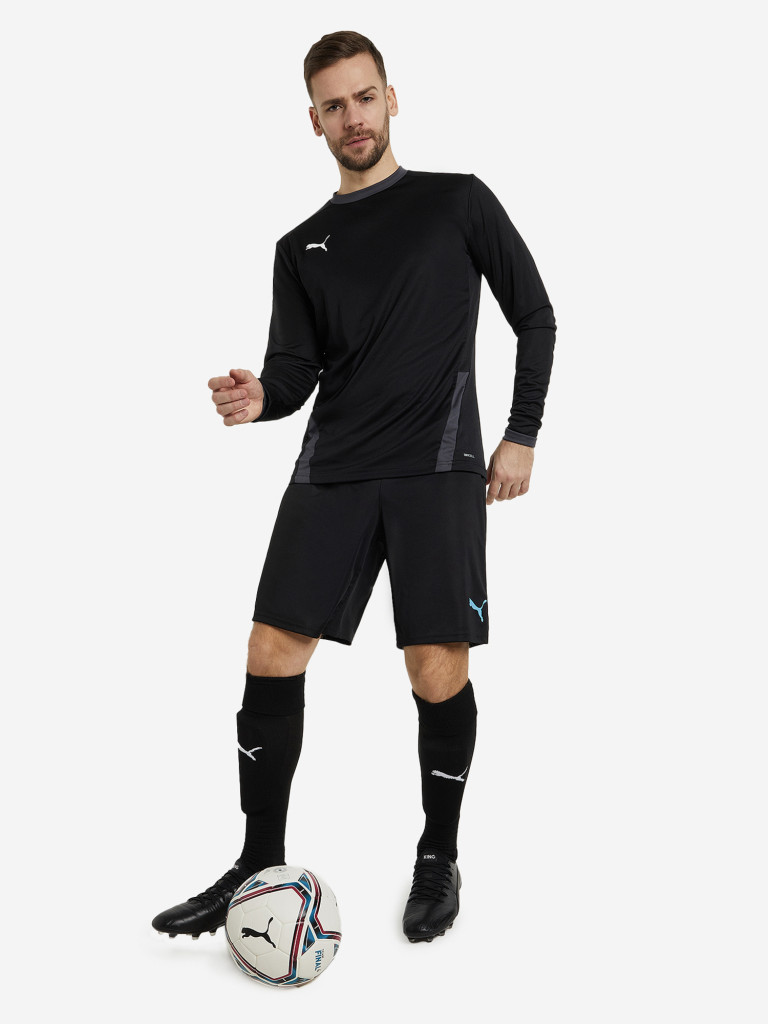 Лонгслив мужской PUMA Teamgoal