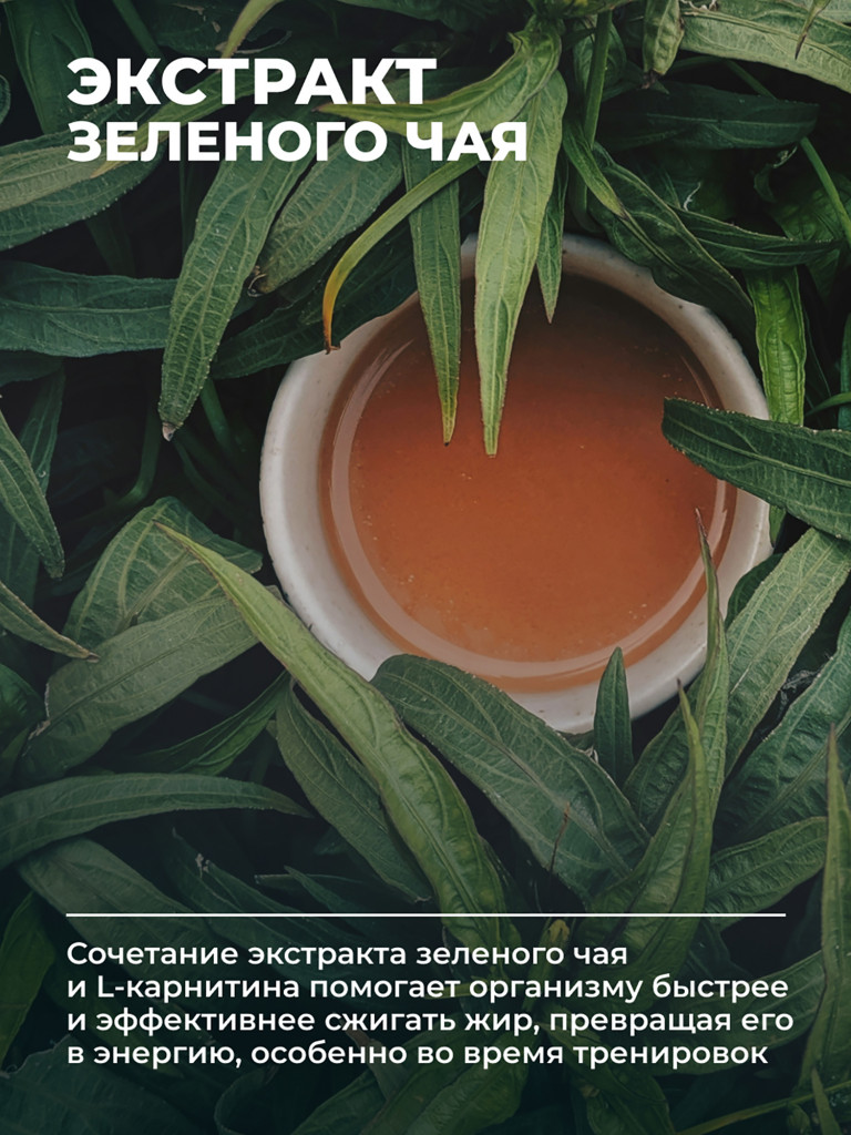 L-карнитин тартратс с экстрактом зеленого чая 1WIN 90 капсул
