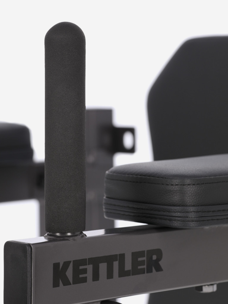 Брусья настенные KETTLER Gym Pro