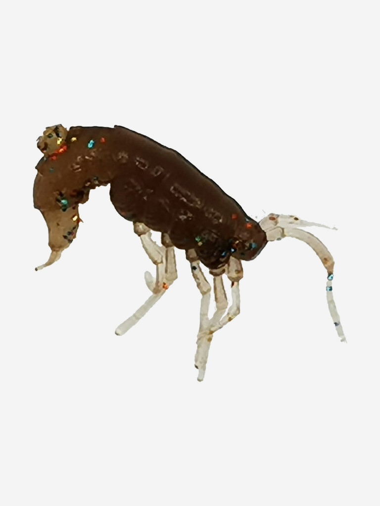 Набор для рыбалки зимний летний. RuBaits Русские приманки. Креветка Shrims рак 45 шт. 0,7", 1,5". Cиликоновые приманки на окуня, форель. Микроджиг, мормышинг. Тыква звёздная Green Pumpkin Stars