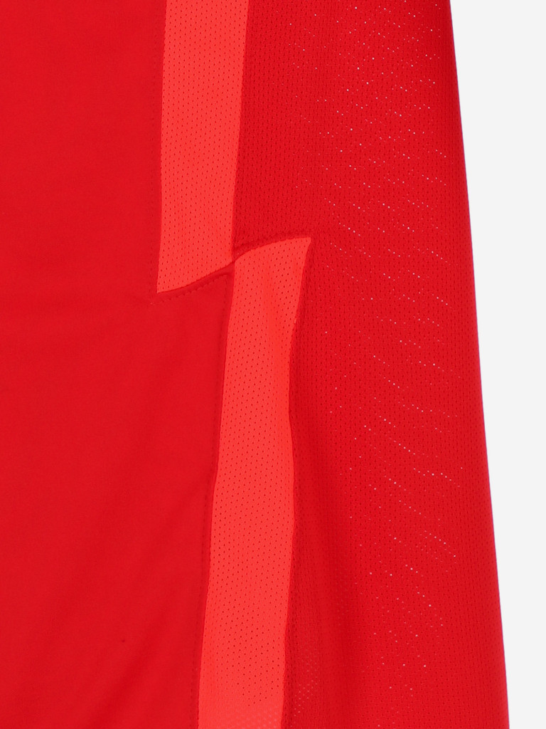 Футболка мужская Nike Jersey Strike 22