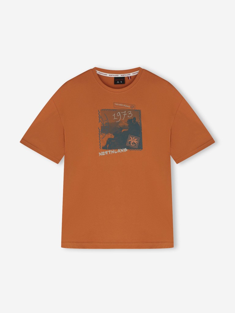 Футболка мужская Northland