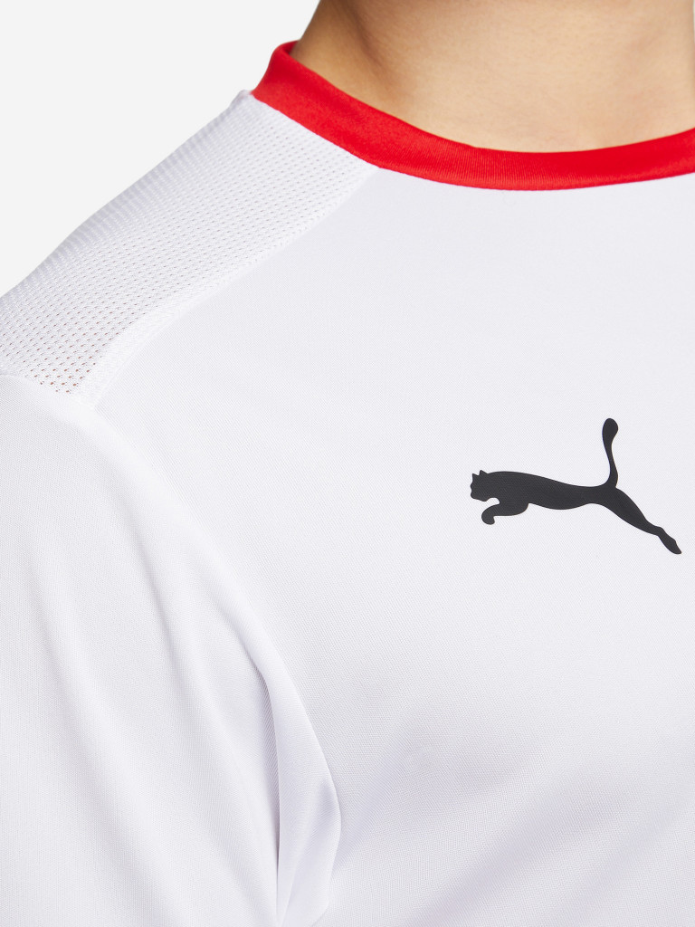 Футболка мужская PUMA teamGOAL 23 Jersey