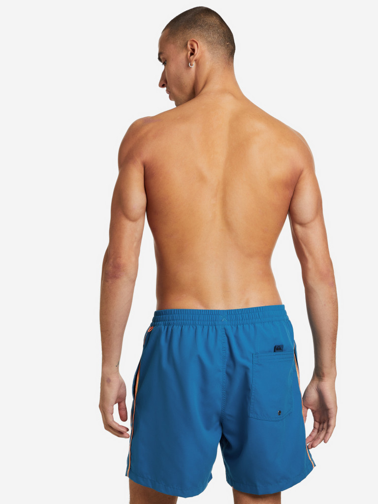 Шорты пляжные мужские Quiksilver Everyday Vert Volley
