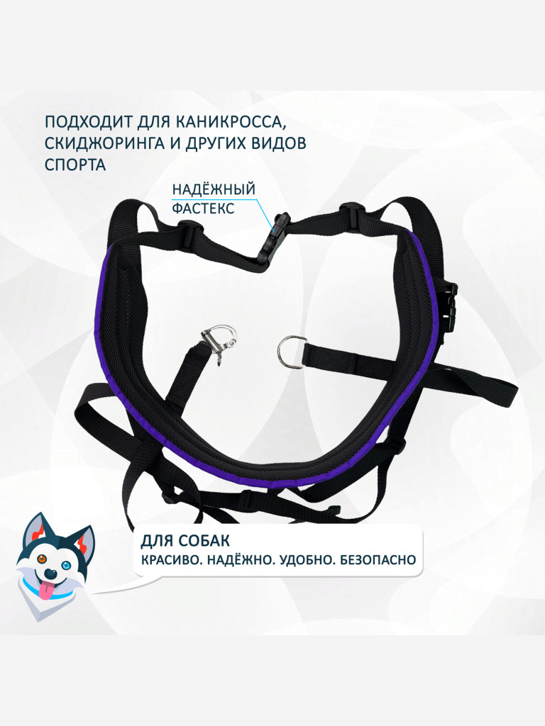 Пояс totemica "Фиолет" для каникросса (бег с собакой) и скиджоринга (езда на лыжах за собакой)