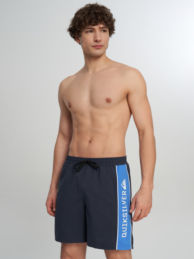 Шорты плавательные мужские Quiksilver Everyday Clicker Volley 17