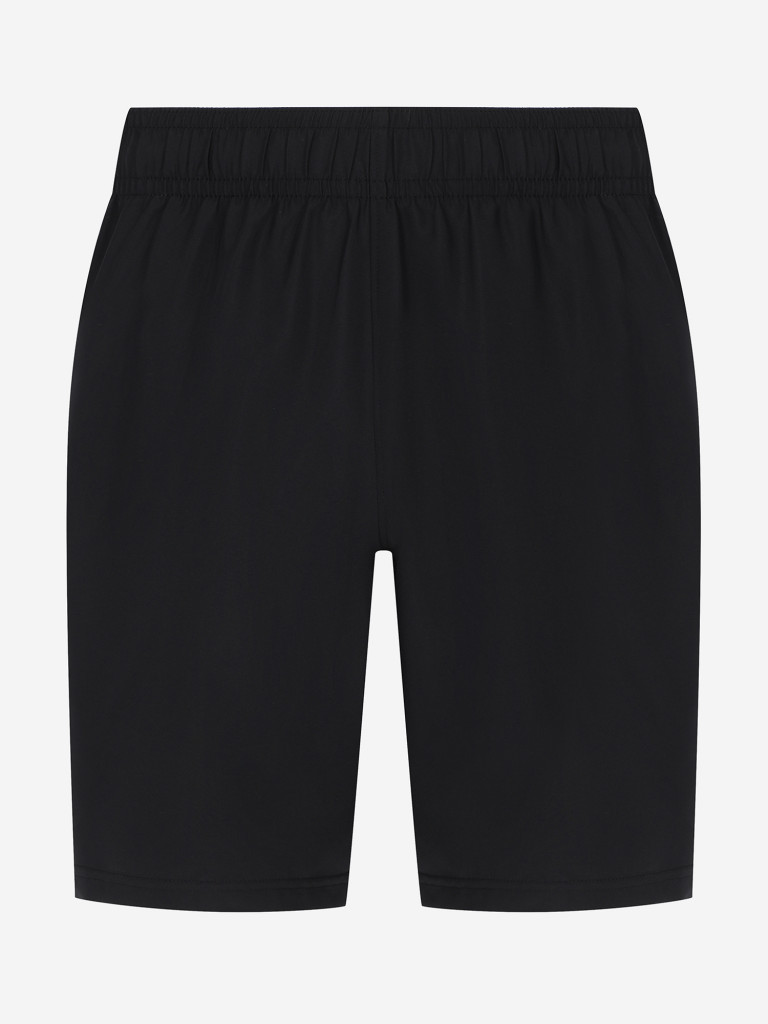 Шорты мужские Under Armour