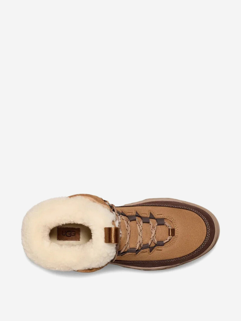 Ботинки утепленные женские UGG TerreTrail Cozy Lace