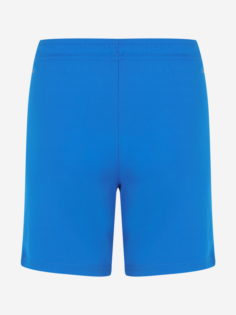 Шорты для мальчиков PUMA Teamliga Jr