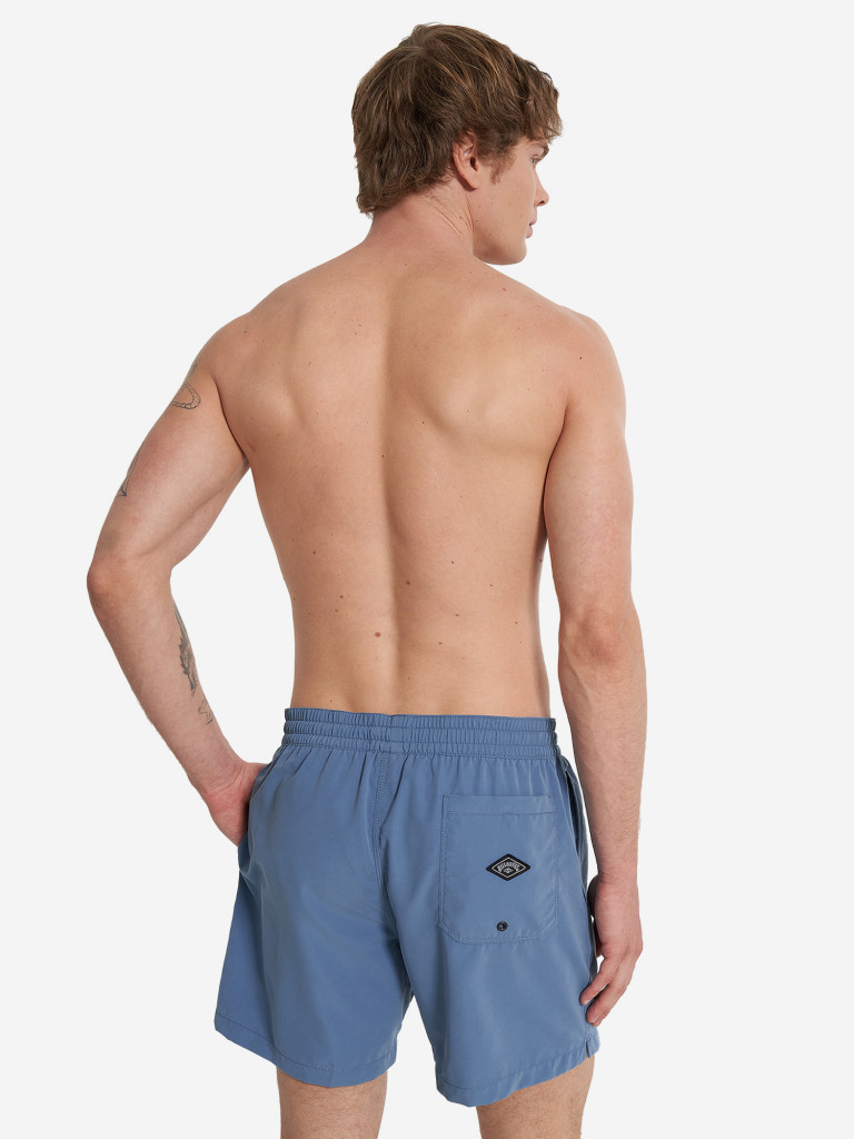 Шорты плавательные мужские Billabong All Day Heritage