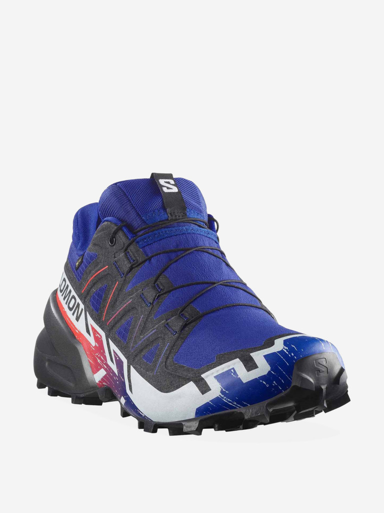 Кроссовки беговые Salomon Speedcross 6 GTX Equipe
