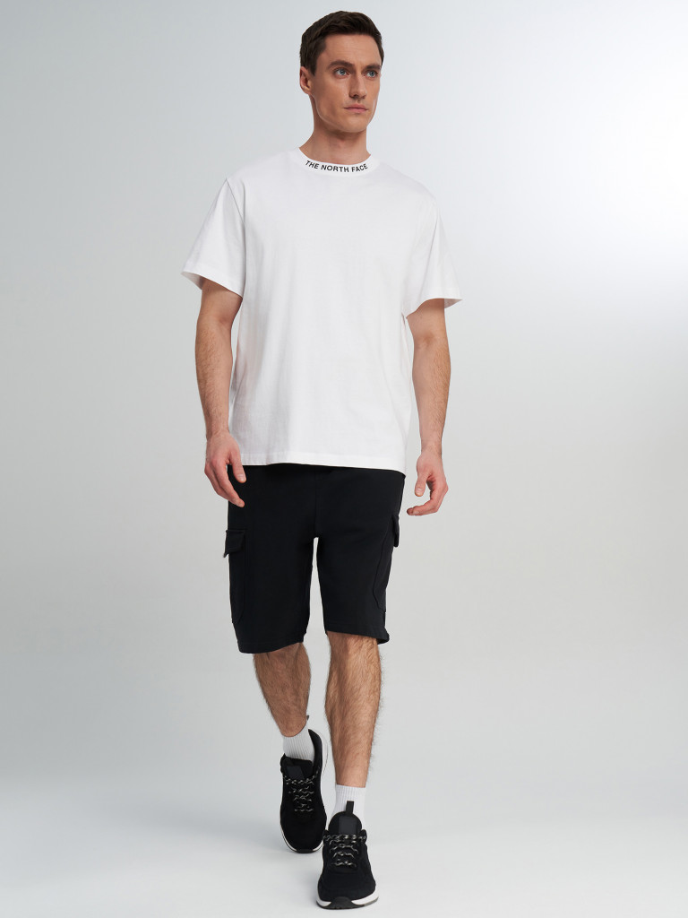 Футболка мужская The North Face Zumu