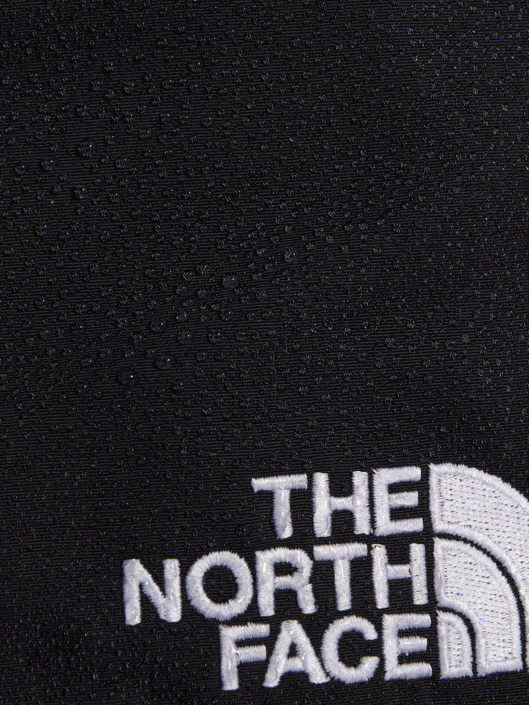 Брюки мужские The North Face Easy Wind
