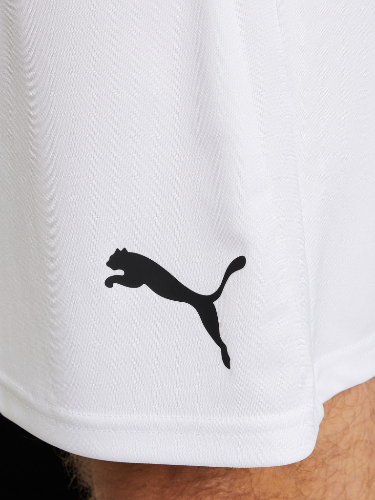 Шорты мужские PUMA teamLIGA