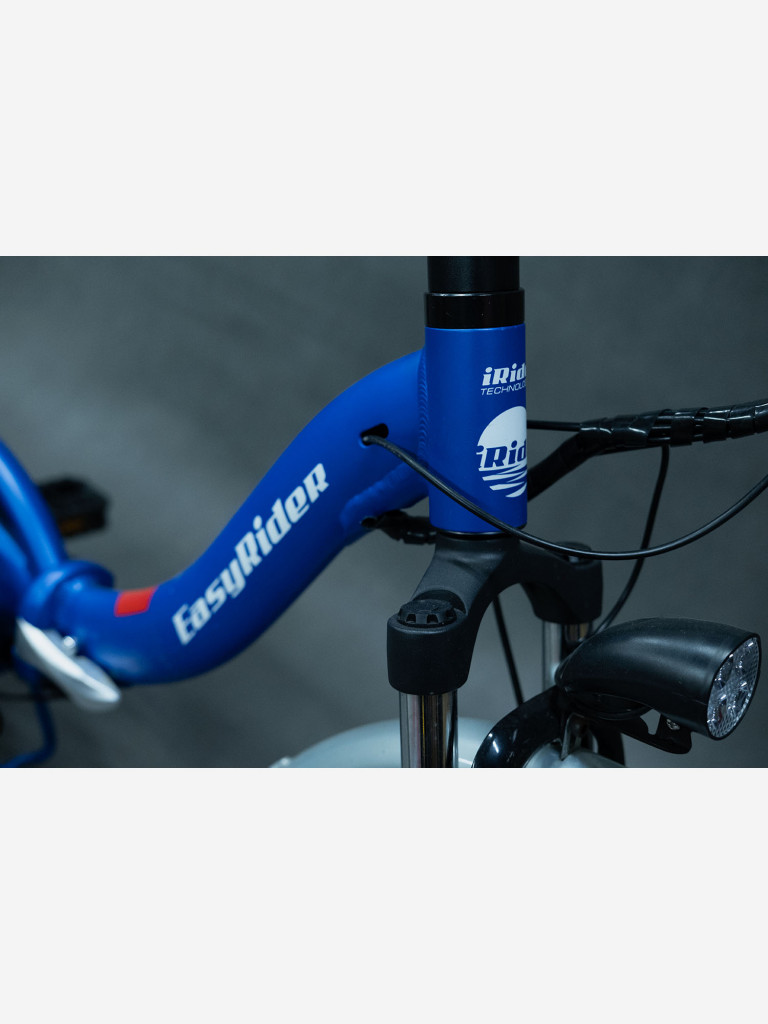 Электровелосипед EasyRider BlueBird
