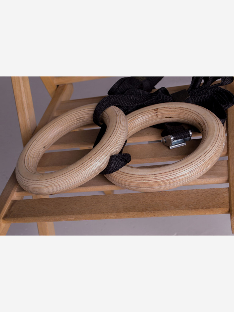 Кольца гимнастические для WORKOUT 2м, SportGid