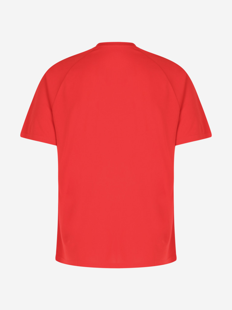 Футболка мужская PUMA teamLIGA Striped Jersey
