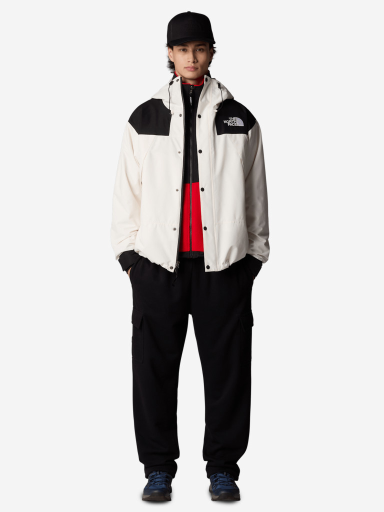 Брюки мужские The North Face Cargo Jogger