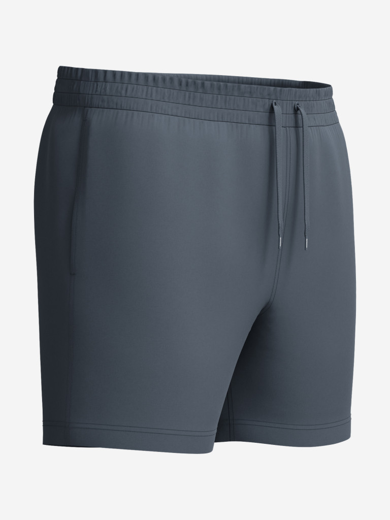 Шорты плавательные мужские Speedo Essentials