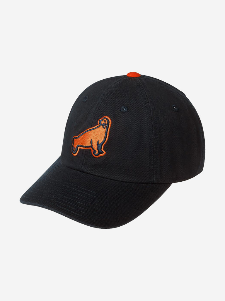 Бейсболка AMERICAN NEEDLE 43027A-SAF San Francisco Seals Ballpark MILB (синий)