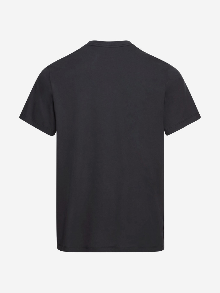 Футболка мужская Jack Wolfskin Essential