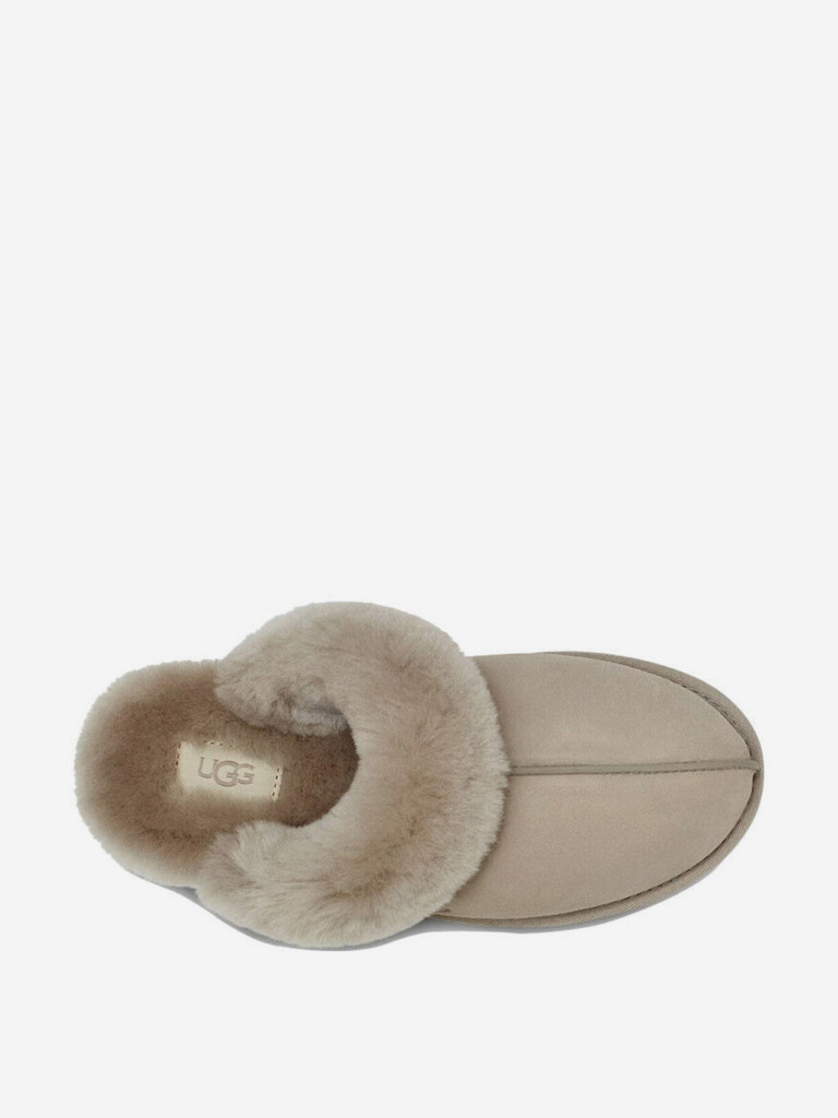 Тапочки UGG Scuffette II