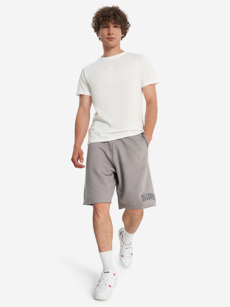 Футболка мужская Ellesse