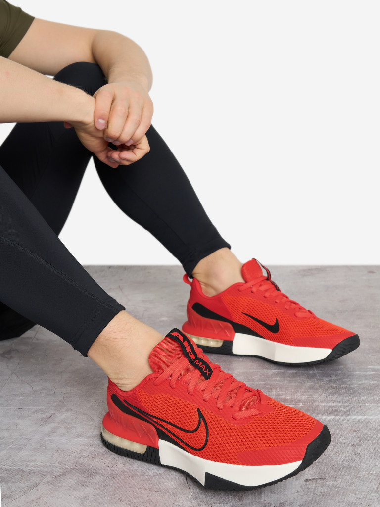 Кроссовки мужские Nike Air Max Alpha Trainer 6