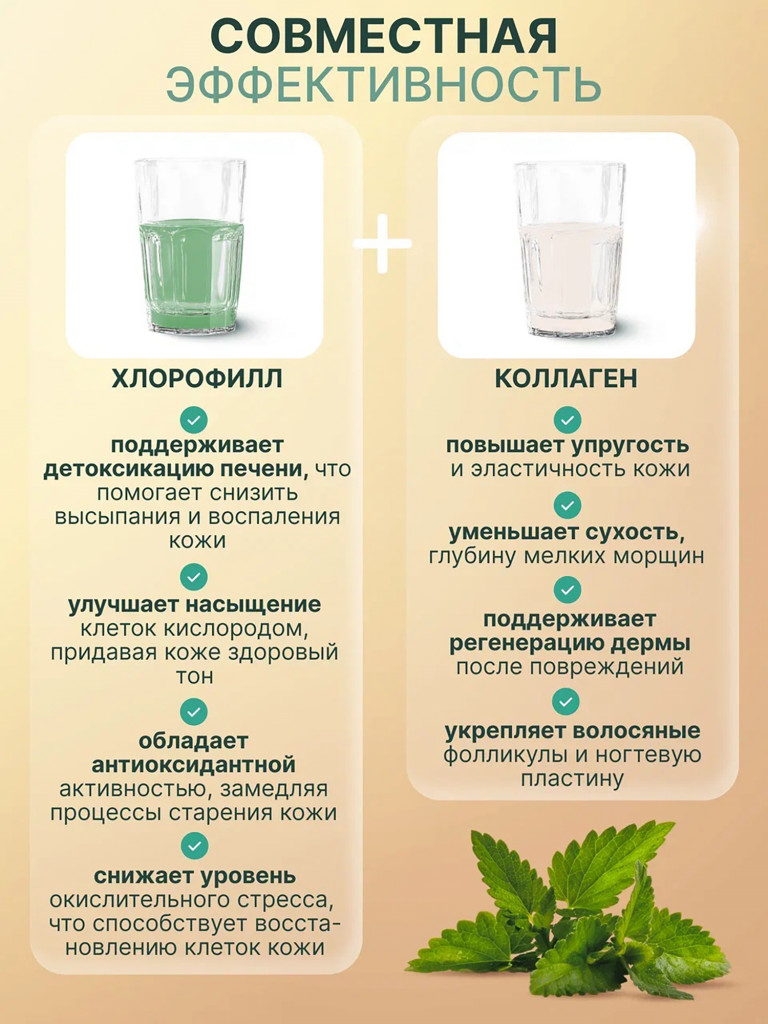 Набор Хлорофилл жидкий пищевой + Коллаген, MedCraft