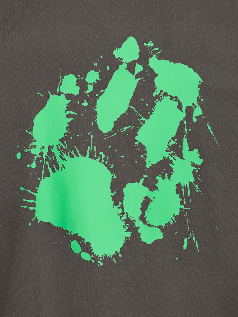 Футболка мужская Jack Wolfskin Live Wild