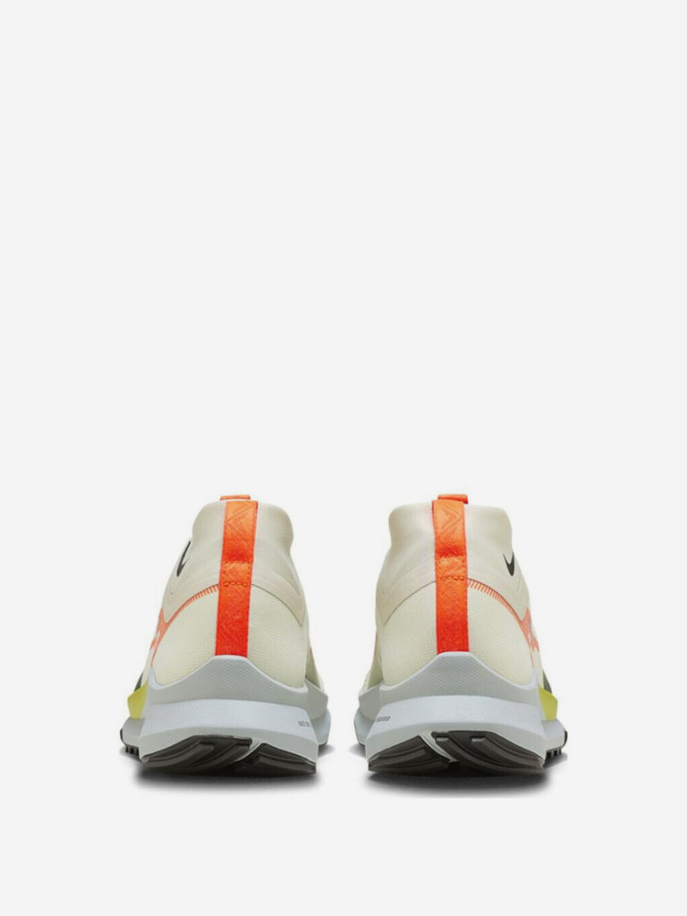 Кроссовки Nike Pegasus Trail 4 GORE-TEX