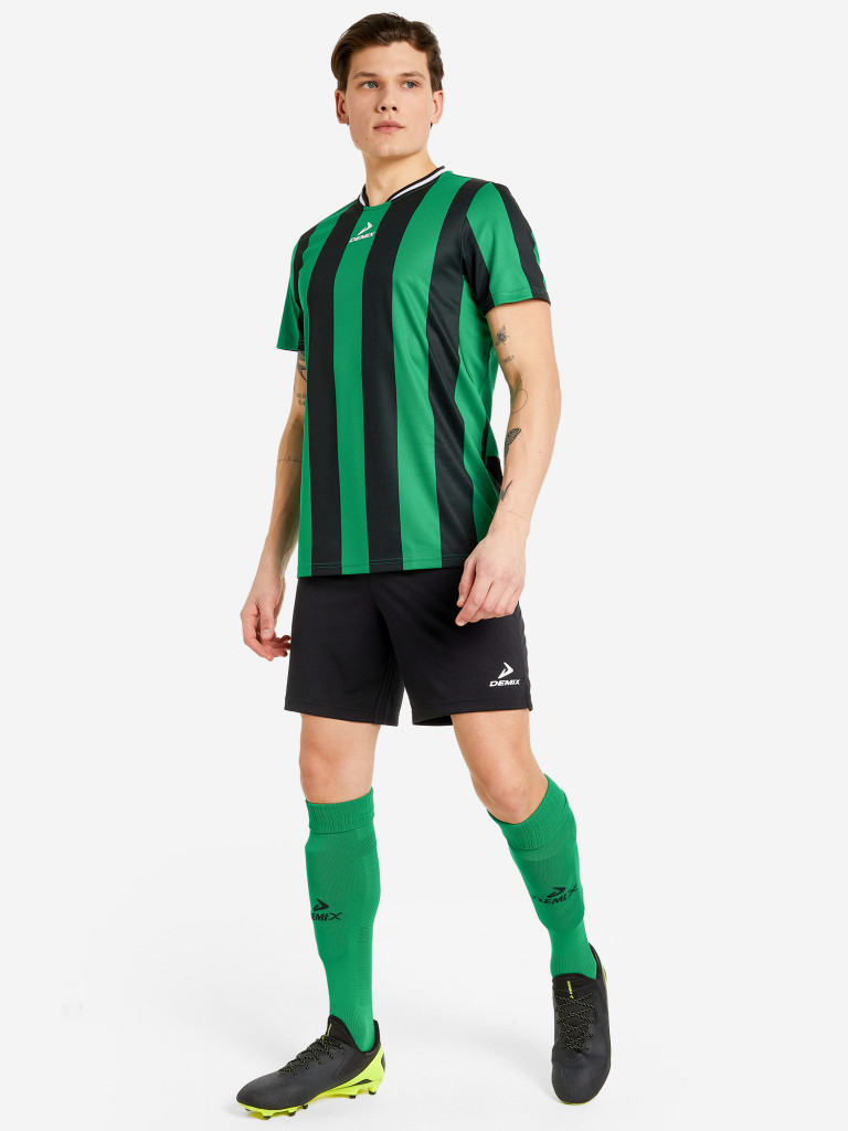 Шорты мужские Demix Legacy