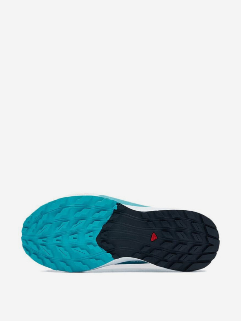 Кроссовки Salomon Sense Ride 5