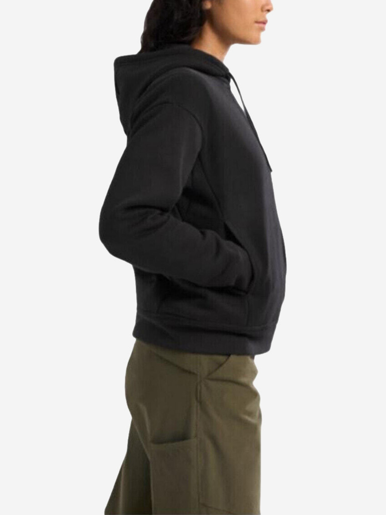 Худи Arcteryx Emblem