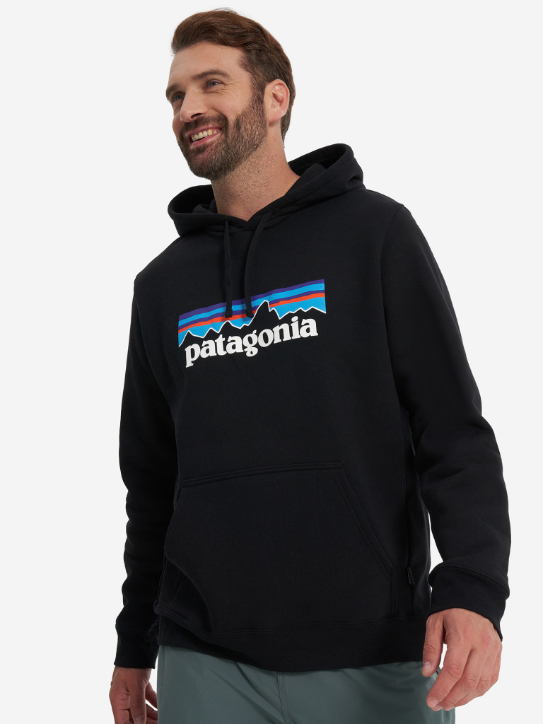 Худи мужское Patagonia Logo Uprisal