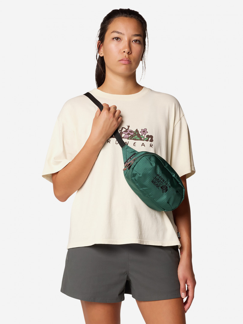 Сумка на пояс Mountain Hardwear Field Day Зеленый 2999₽