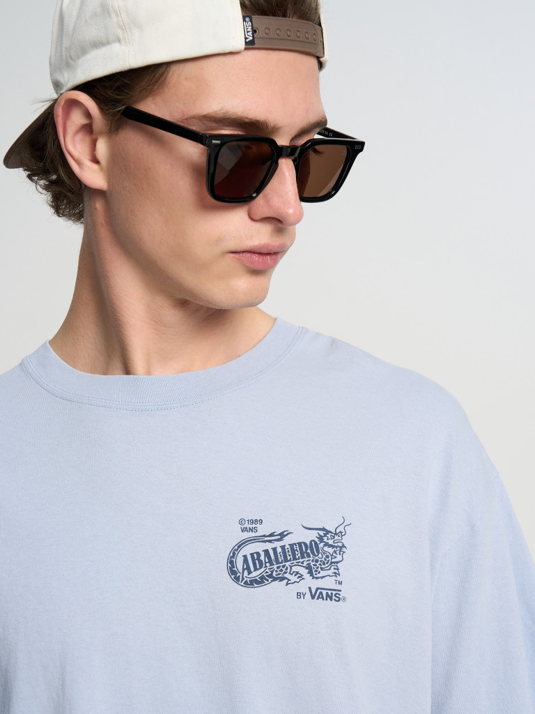 Футболка мужская Vans Caballero